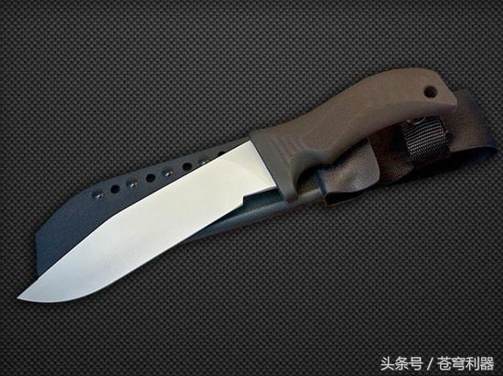 全球十大军刀 个个外形出众威力强大(4)