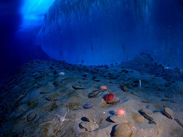 隐藏在世界各地的怪异景致，保证你一个也没有见过(2)