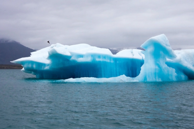 令人震憾的“外星”世界(3)