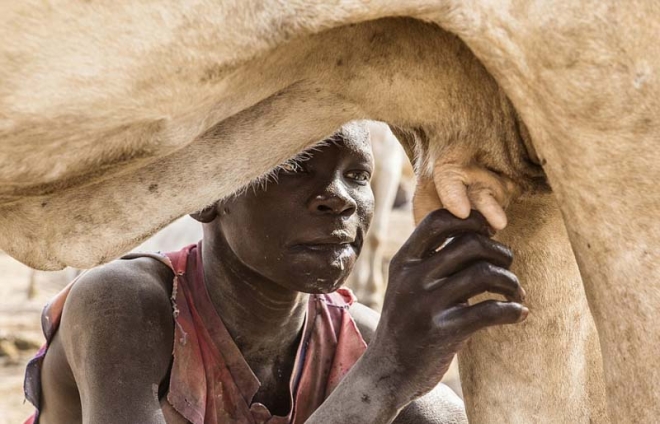 这个持枪保护牛群的部落，每年有两千人为此付出生命(3)