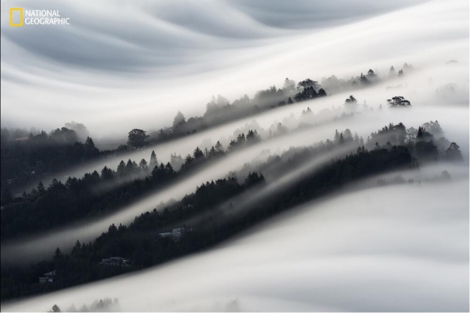 《国家地理》杂志评选的2016年最佳照片(1)