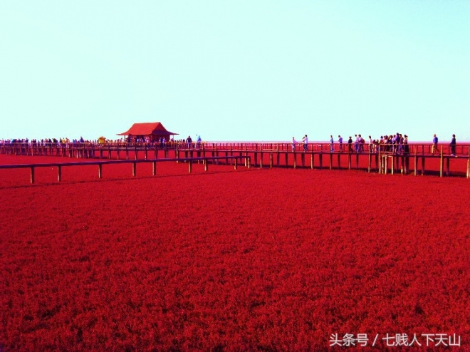 大自然的鬼斧神工，令人叹为观止（四）(2)