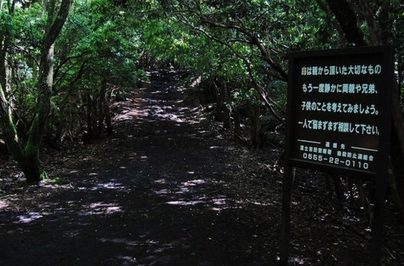 日本的幽静森林内发现大量尸体，被称为“自杀森林”(1)