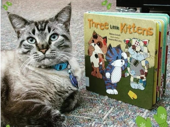 图书馆“管理喵”遭解雇，市民抗议辞退理由太奇葩(1)