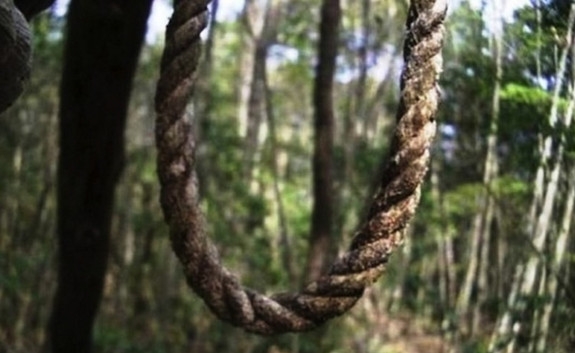 日本的幽静森林内发现大量尸体，被称为“自杀森林”(2)