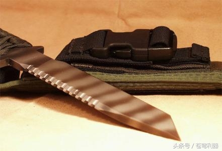 全球十大军刀 个个外形出众威力强大(3)