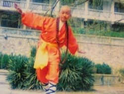 王宝强：从草根到一线明星的演艺之路！