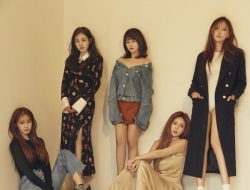 王思聪签约女团T-ara 高清写真照