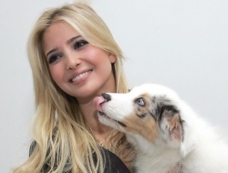 美国总统之女伊万卡很喜欢养宠物狗，抱着小狗的照片也是美美哒！