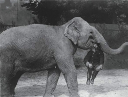 原来歪果仁会玩不是一天两天了，至于怎么玩，看看老照片就知道了