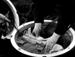 11张老照片直击苏军最奇葩试验：用大炮把猪打上天