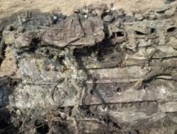 工人挖出74年的神秘物，凑近一看，瞬间被吓坏！