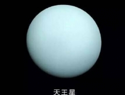 9大行星证件照，地球的那个介绍秒杀整个银河系，你就说服不服？