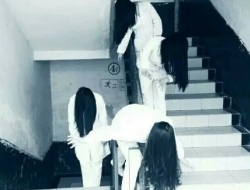 万圣节的校园，被这群女鬼吓住了！