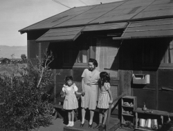 珍珠港事件后，被关进集中营的日本人