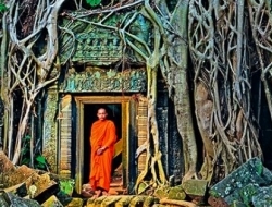 这些大自然的“巨根”，人类比得了吗？