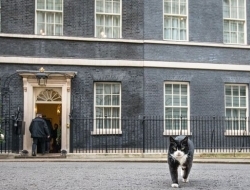 猫奴跪安！参见英国外交部首席灭鼠官