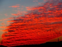 广西火烧云红透半边天