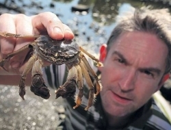 盘点国外泛滥成灾的几种动物，中国吃货直呼我们才是食物链的顶端