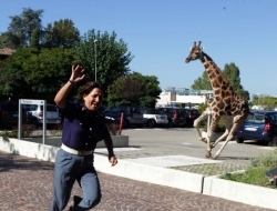 “世界那么大我想去看看” 盘点出逃动物各不相同的“诗和远方”