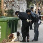 合肥碎尸案怎么破案的