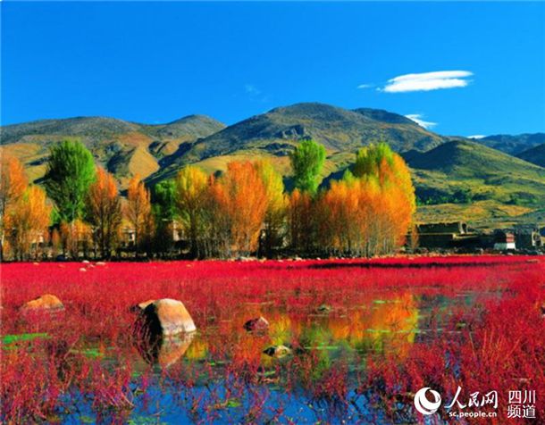 55岁的他，宝刀未老，成为“百变演员”——淳于珊珊