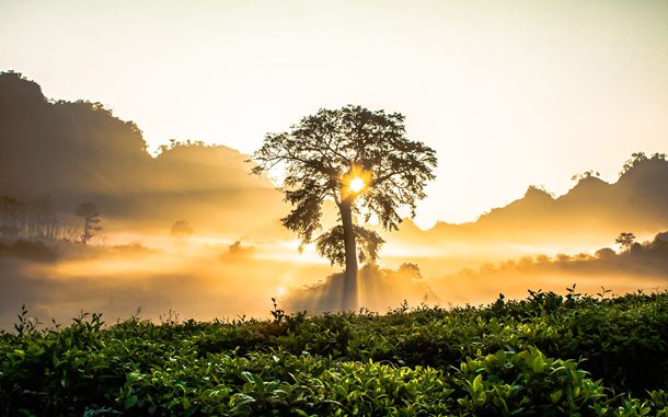 2024年初二春节作文500字