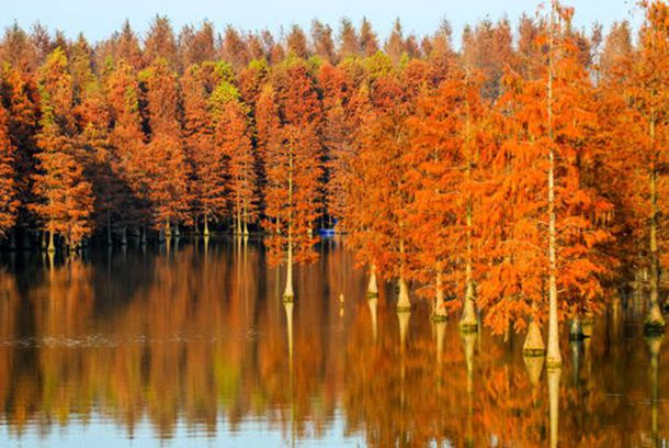 求通英大神能讲解一下：英文五行打油诗（Limerick）有些什么讲究（若有例诗更佳）？