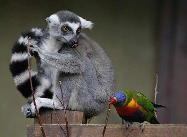 纪实陈思思受不了丈夫背叛，离婚后嫁给他叔叔，做他的婶婶