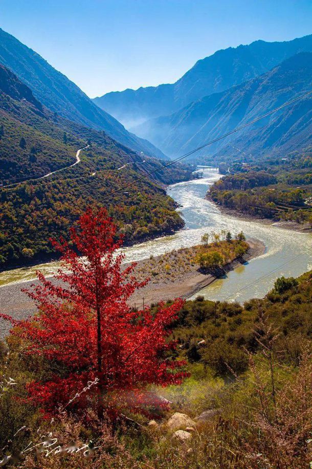 药罐子受爱虐不虐