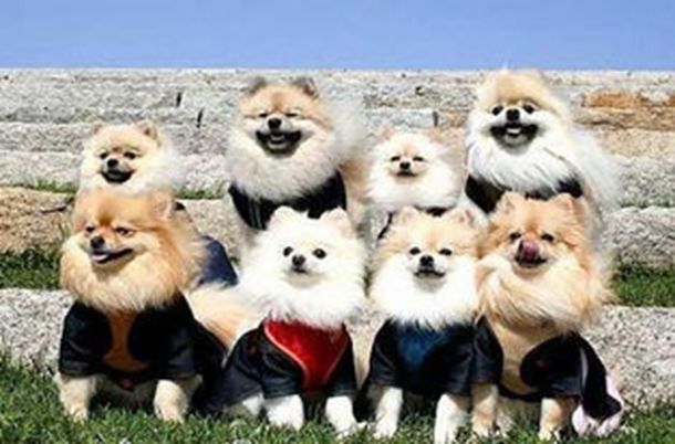 肖剑个人资料简介,主演的电视剧电影,图片,写真