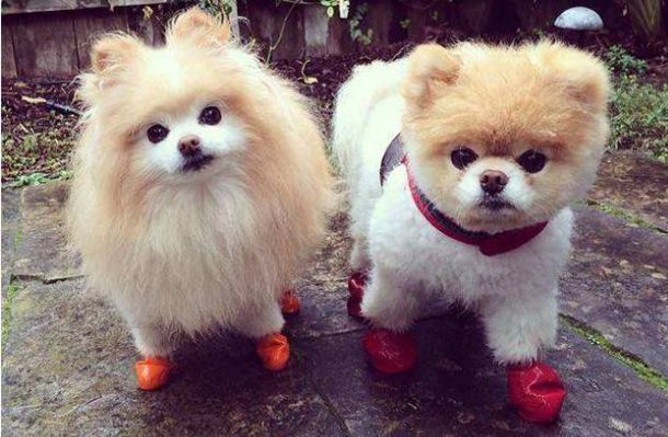 河山电视剧演员表