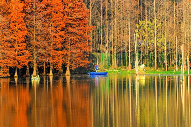 丁丁总是不分场合地「一柱擎天」，该怎么办？