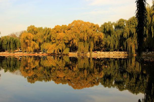 原创范雷：低调的幸福人生，圈外妻子的陪伴，21年如一日的甜蜜
