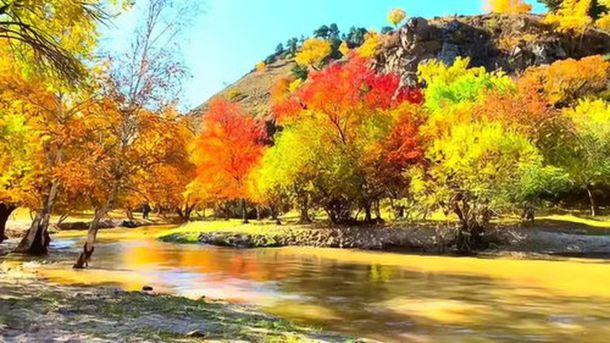 子比父丑的8对明星父子，一代不如一代，还有一半普通的像路人！