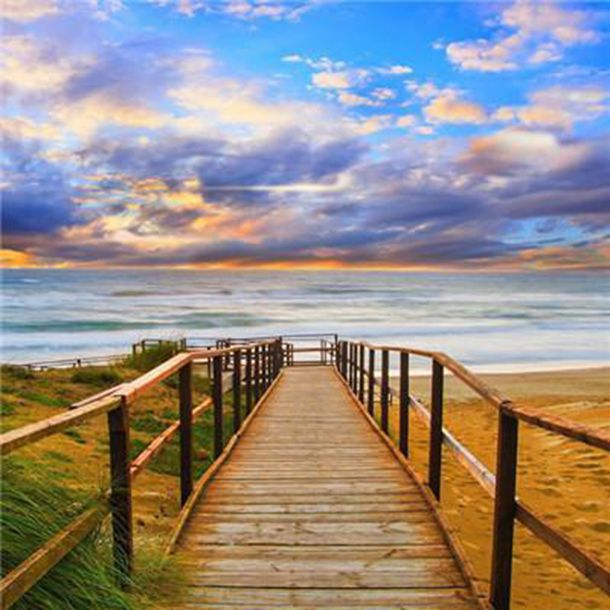 为避免交配后被一口咬掉脑袋，澳洲螳螂开发新姿势：69式摔跤