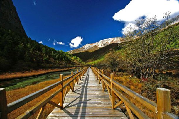 “疏影横斜水清浅，暗香浮动月黄昏”是什么意思_出处是哪里