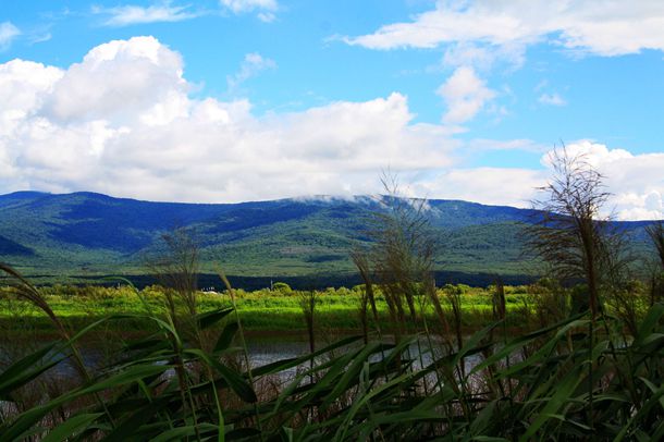 演员罗钢，娶23岁郝蕾，共战遗传病，幸福48岁生活。