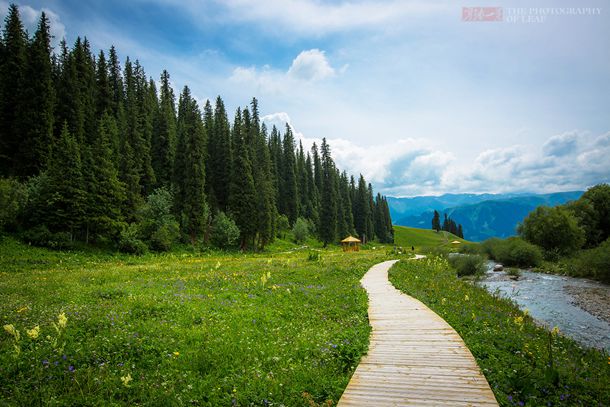 她被姜文捧红，是刘德华的“御用妻子”，出道24年不争不抢