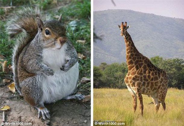 原创杜淳老婆王灿是做什么的？演员杜淳老婆王灿背景个人资料简介_海峡网