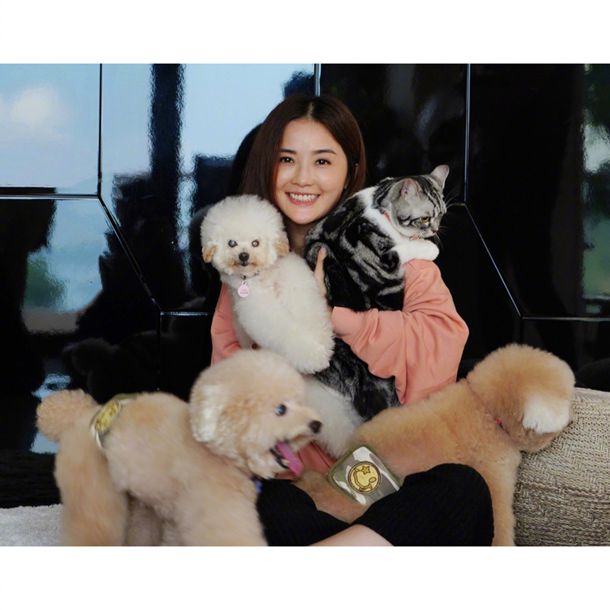 《新少林寺》隐藏的大咖，花无缺、金锁，还有雷军的偶像