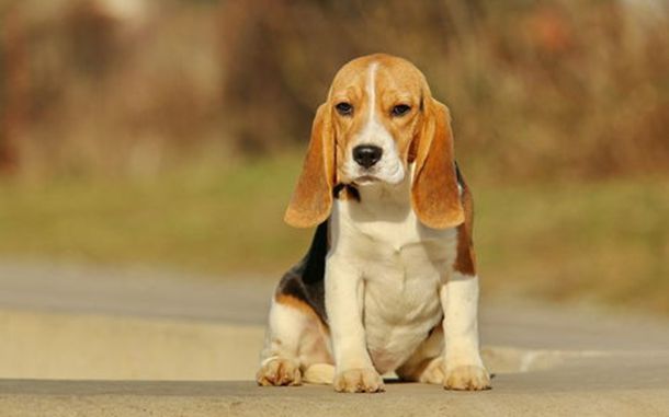 他曾经比黄晓明还火，被称为“一线小生”，却被两个女人毁了半生