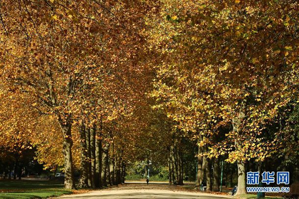 曝已婚女星骚扰合作男演员，丈夫爱好嫖C找外围，刘涛周渝民遭疑