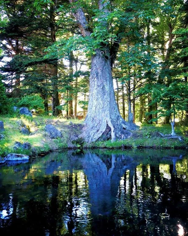 张一山个人资料简介,主演的电视剧电影,图片,写真