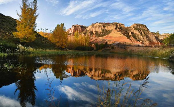 失恋33天演员表