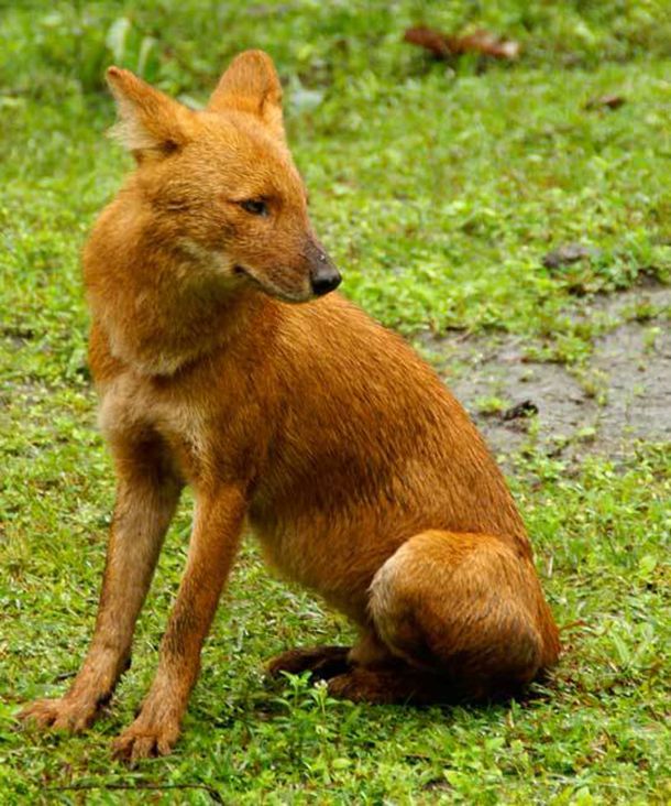 情侣酒店的100种“入门”姿势，真是开了眼了