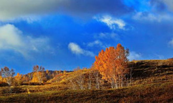 天降可爱女儿，开启奶爸系统   第七章 爸爸的好大儿！【一更，求花求票求收藏】