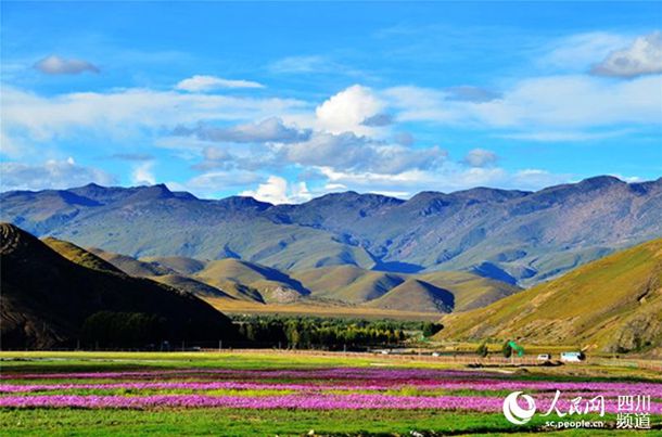 上海重庆特工网红，全程不露面，天煞级别的腱子肉，证明身材比颜值重要