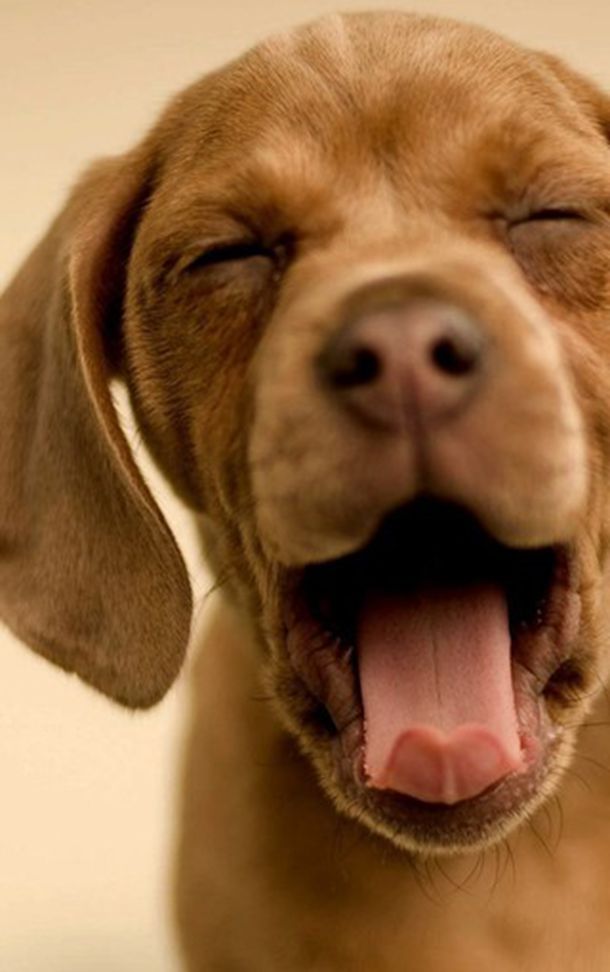 因为佘诗曼，又看了一部癫剧