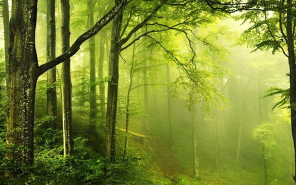 55岁保姆哭诉：虽然工资9000，但却干着女主人的活，实在是太累了